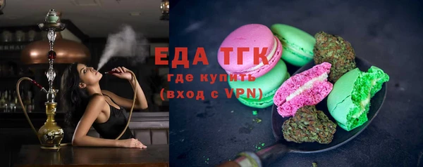 гашик Медногорск