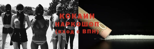 дмт Магас