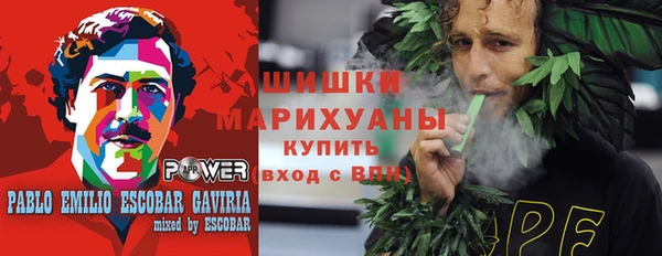 гашик Медногорск