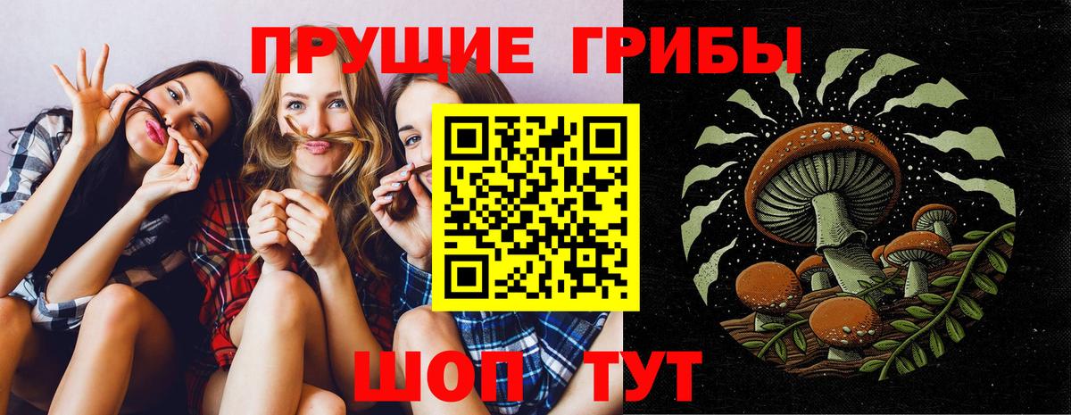 Галлюциногенные грибы Psilocybine cubensis Чайковский